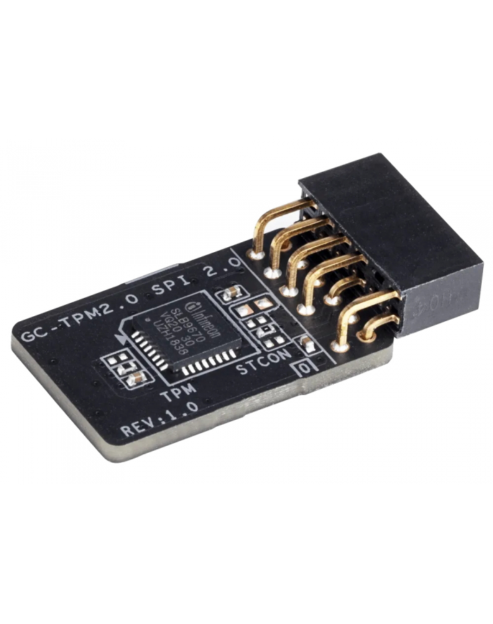 Gigabyte TPM Modul SPI - GC-TPM2.0 SPI 2.0 (GC-TPM2.0 SPI 2.0) główny