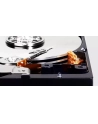 western digital Dysk Blue 2TB 3,5'' 256MB SATAIII 7200 RPM - nr 4