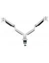neomounts by newstar Uchwyt nabiurkowy NM-D750D WHITE - nr 10