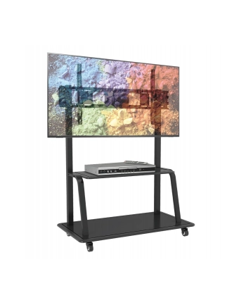 techly Stojak LCD 55-100 cali 150 kg nr 2