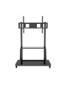 techly Stojak LCD 55-100 cali 150 kg - nr 26