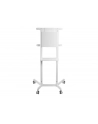 neomounts by newstar Mobilny stojak podłogowy NS-M1250 WHITE - nr 21