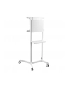 neomounts by newstar Mobilny stojak podłogowy NS-M1250 WHITE - nr 54