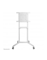 neomounts by newstar Mobilny stojak podłogowy NS-M1250 WHITE - nr 77