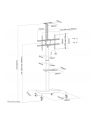 neomounts by newstar Stojak mobilny do monitora PLASMA-M1900E - nr 12