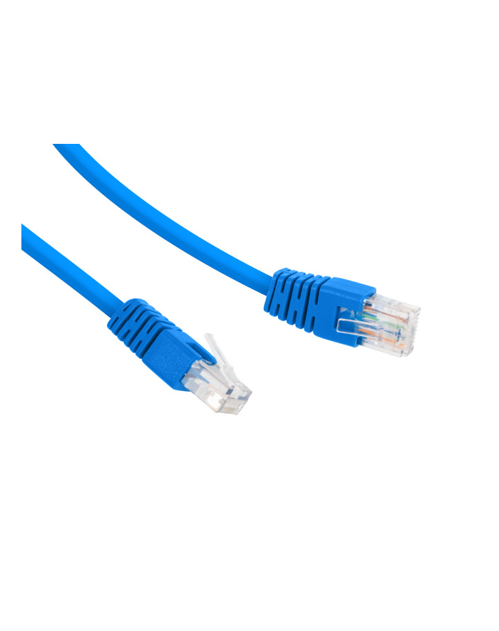 KABEL PATCH CORD 2.0M  PP12-2M NIEBIESKI główny