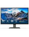 PHILIPS 439P1/00 42.51inch 16:9 VA 3840x2160 60Hz 400cd/m2 HDMIx3 DP 1xUSB-C/3xUSB 3.2 - nr 22
