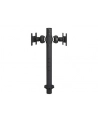 neomounts by newstar Uchwyt biurkowy FPMA-D050D BLACK - nr 5