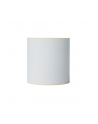 BROTHER Direct thermal label roll 102mm continues 58 meter 8 rolls/carton - nr 9
