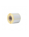 BROTHER Direct thermal label roll 51x26mm 500 labels/roll 12 rolls/carton - nr 5