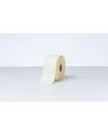 BROTHER Direct thermal label roll 51X26mm 1900 labels/roll 20 rolls/carton - nr 10