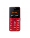 MYPHONE 5902052866625 myPhone Halo Easy Red SS - nr 5