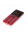 MYPHONE 5902052866625 myPhone Halo Easy Red SS - nr 6