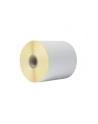BROTHER Direct thermal label roll 102mm continues 58 meter 8 rolls/carton - nr 13