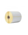 BROTHER Direct thermal label roll 102x50mm 1050 labels/roll 8 rolls/carton - nr 8