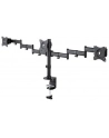 neomounts by newstar Uchwyt biurkowy NM-D135D3 BLACK - nr 12