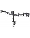 neomounts by newstar Uchwyt biurkowy NM-D135D3 BLACK - nr 14