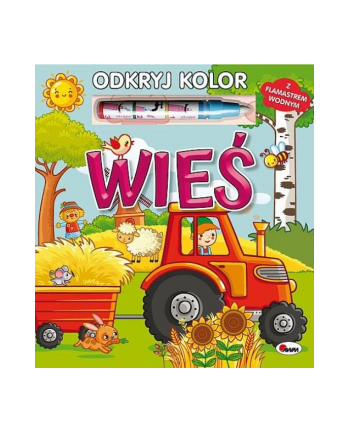 morex Książka Odkryj kolor. Wieś AWM