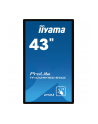 iiyama Monitor wielkoformatowy 43 cale TF4339MSC-B1AG,AMVA,HDMIx2,DP,RJ45,IP54,24/7,POJ.12p - nr 42