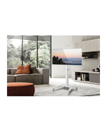 TECHLY Mobilny Stojak do Telewizora 37-70inch 70kg 2 Półki Biały