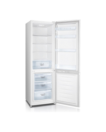 gorenje Chłodziarko-zamrażarka RK4181PW4