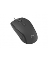 natec Mysz Hoopoe 2 1600 DPI optyczna Czarna - nr 14