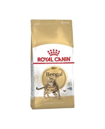 ROYAL CANIN Bengal Adult karma sucha dla kotów dorosłych rasy bengal 10 kg