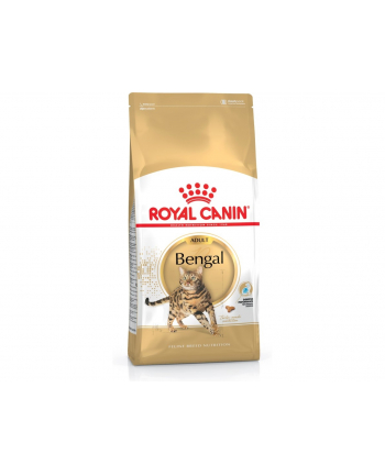 ROYAL CANIN Bengal Adult karma sucha dla kotów dorosłych rasy bengal 10 kg nr 1