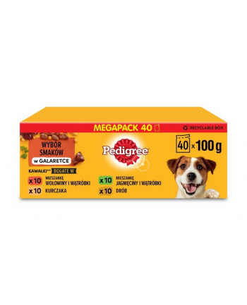 Pedigree Aldut mix smaków 40x100g