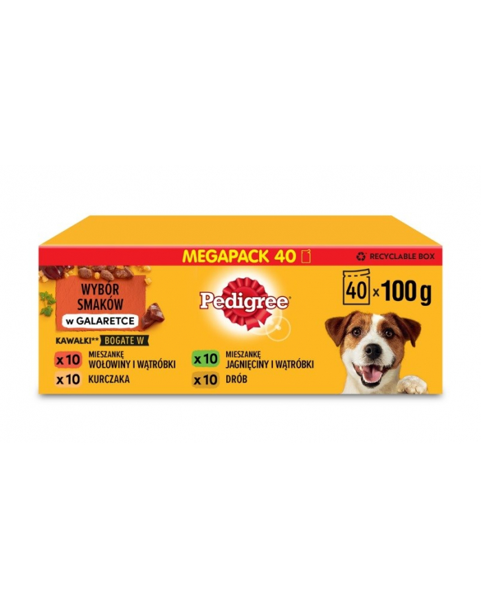 Pedigree Aldut mix smaków 40x100g główny