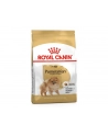 Karma ROYAL CANIN BHN Pomeranian Adult 3kg - nr 5