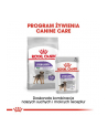 Karma ROYAL CANIN CCN STERILIZED LOAF 12X85 - nr 3