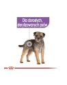 Karma ROYAL CANIN CCN STERILIZED LOAF 12X85 - nr 5