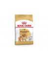 Karma ROYAL CANIN BHN Pomeranian Adult 3kg - nr 2