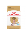 Karma ROYAL CANIN BHN Yorkshire Ageing 8+ 3kg - nr 1