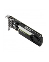 PNY Technologies PNY 4GB T1000 LP 4xmDP Smallbox - nr 22