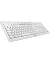 CHERRY STREAM KEYBOARD, keyboard (Kolor: BIAŁY / gray, US-English layout with (wersja europejska)RO symbol) - nr 19