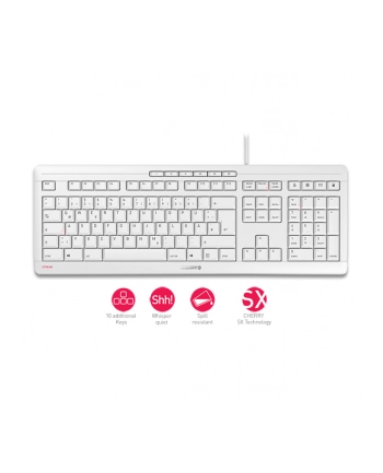 CHERRY STREAM KEYBOARD, keyboard (Kolor: BIAŁY / gray, US-English layout with (wersja europejska)RO symbol)