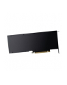 PNY Technologies NVIDIA A30 Modul 24GB HBM2 - nr 13