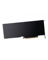 PNY Technologies NVIDIA A30 Modul 24GB HBM2 - nr 19