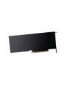 PNY Technologies NVIDIA A30 Modul 24GB HBM2 - nr 8