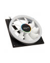 Cryorig Crona X PWM Fan, ARGB - 120mm, biały - nr 2