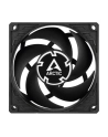 Arctic Cooling Arctic P8 PWM PST CO Fan, czarny - 80mm - nr 21