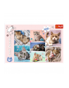 Puzzle 100el W kocim świecie 16420 Trefl - nr 5