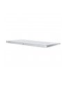 apple Klawiatura Magic Keyboard - angielski (USA) - nr 11