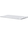 apple Klawiatura Magic Keyboard - angielski (USA) - nr 17