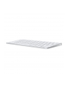 apple Klawiatura Magic Keyboard - angielski (USA) - nr 9