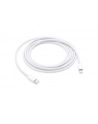apple Przewód z USB-C na Lightning (2 m) - nr 10