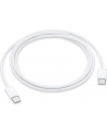 apple Przewód USB-C do ładowania (1 m) - nr 10