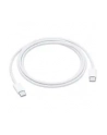 apple Przewód USB-C do ładowania (1 m) - nr 12